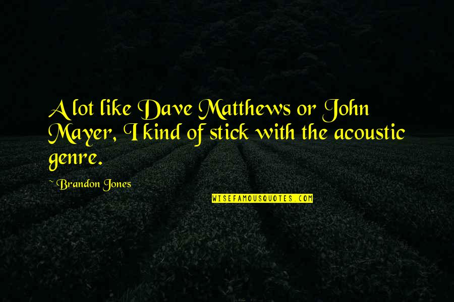 Best John Mayer Quotes By Brandon Jones: A lot like Dave Matthews or John Mayer,