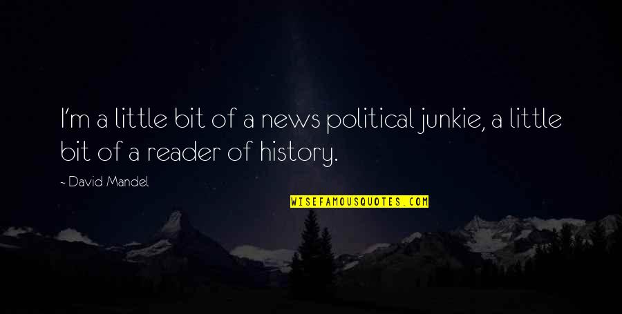 Best Junkie Quotes By David Mandel: I'm a little bit of a news political