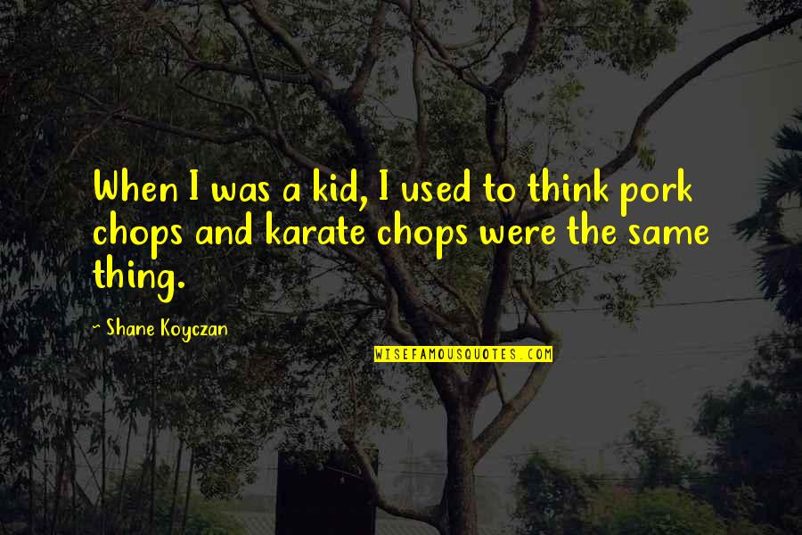 Best Karate Kid 3 Quotes By Shane Koyczan: When I was a kid, I used to