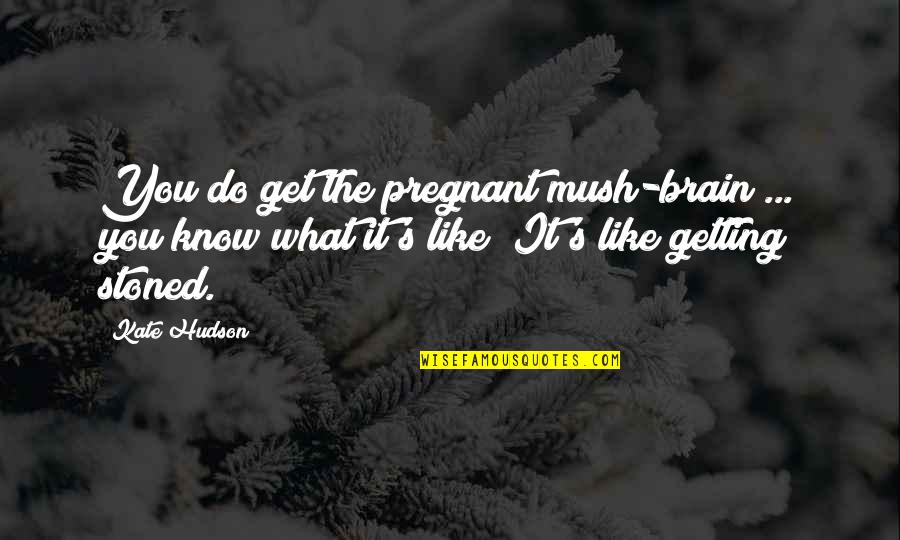 Best Kate Hudson Quotes By Kate Hudson: You do get the pregnant mush-brain ... you