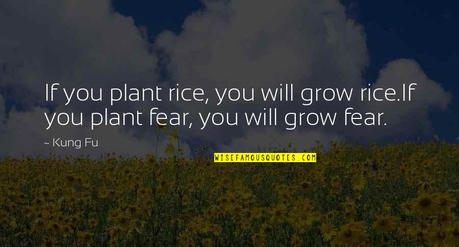 Best Kung Fu Quotes By Kung Fu: If you plant rice, you will grow rice.If