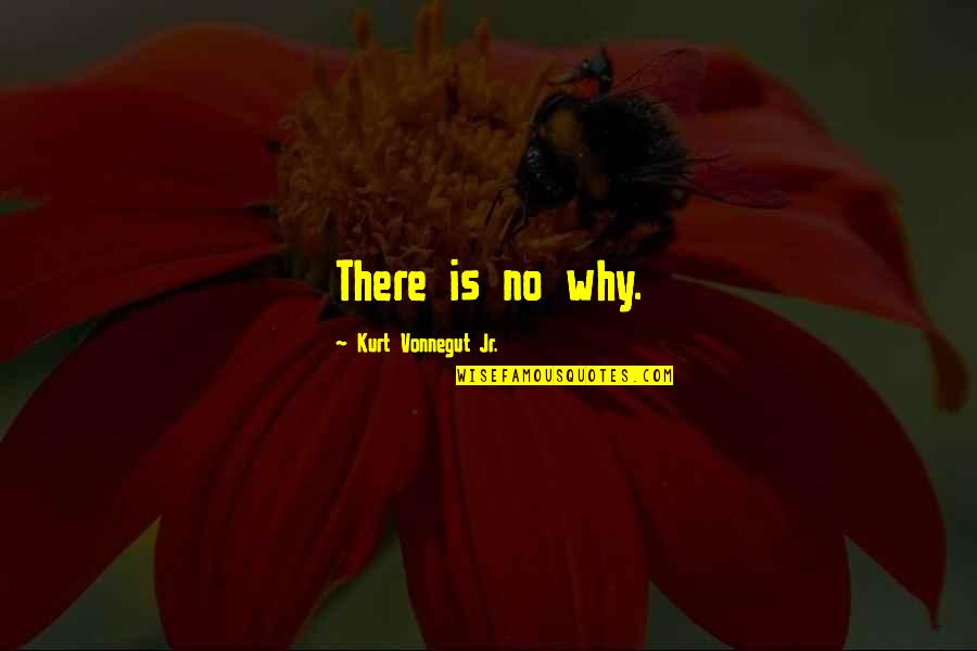 Best Kurt Quotes By Kurt Vonnegut Jr.: There is no why.
