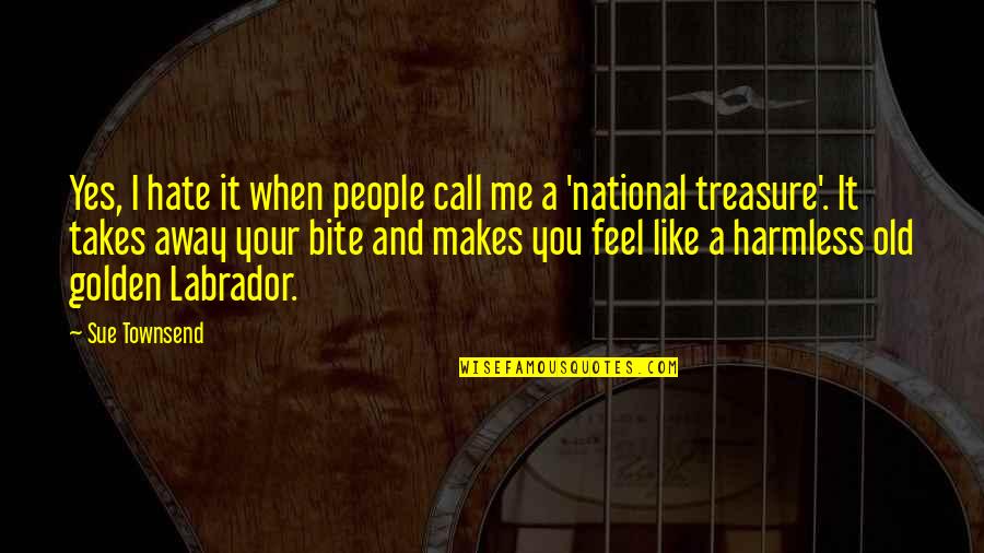 Best Labrador Quotes By Sue Townsend: Yes, I hate it when people call me Best Labrador Quotes By Sue Townsend: Yes, I hate it when people call me