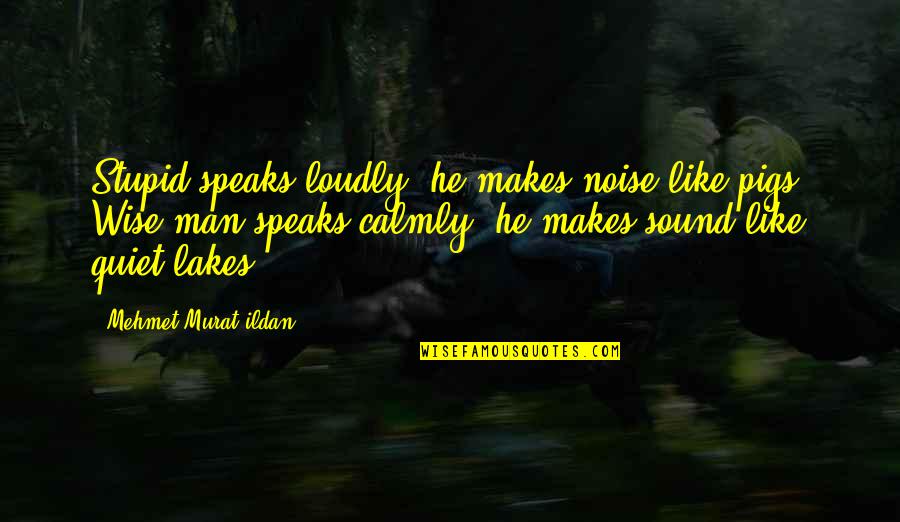 Best Land Of Stories Quotes By Mehmet Murat Ildan: Stupid speaks loudly; he makes noise like pigs!