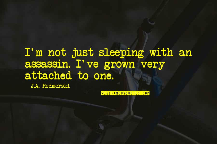 Best Latin Law Quotes By J.A. Redmerski: I'm not just sleeping with an assassin. I've