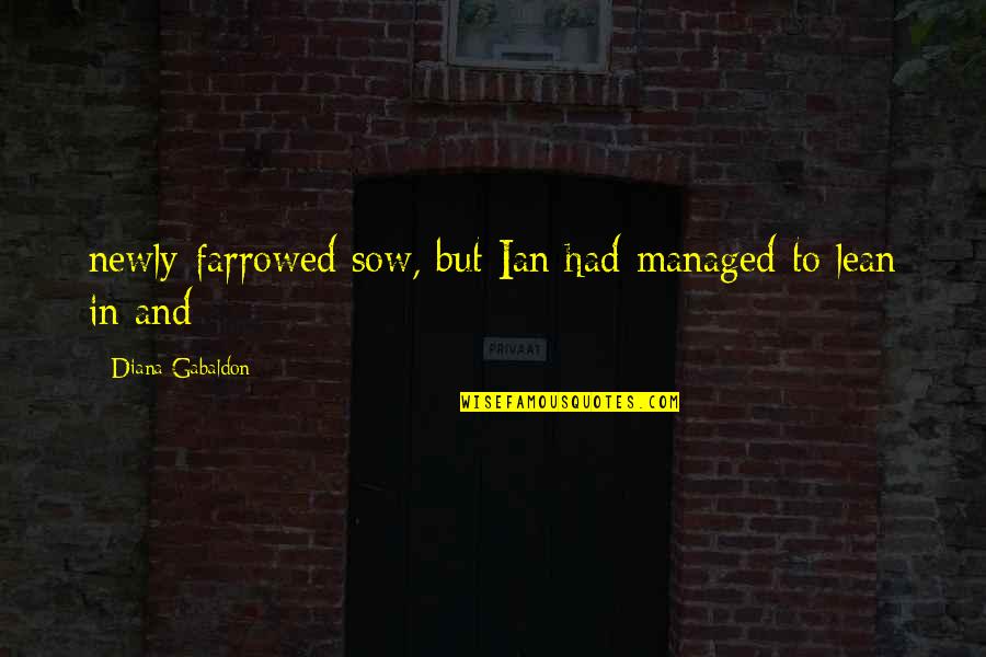 Best Lean In Quotes By Diana Gabaldon: newly-farrowed sow, but Ian had managed to lean