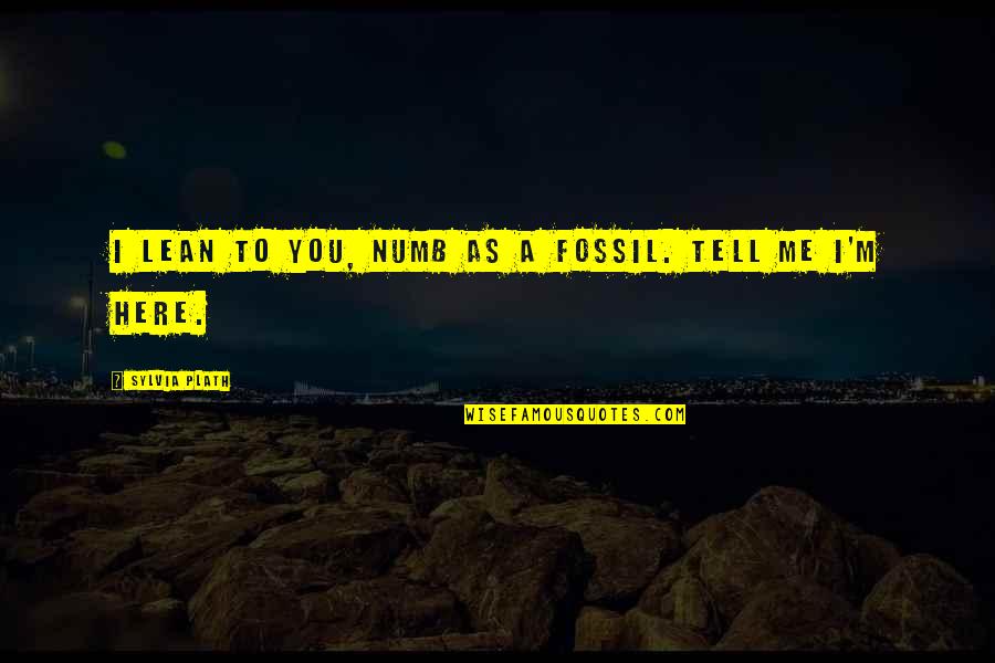 Best Lean In Quotes By Sylvia Plath: I lean to you, numb as a fossil.