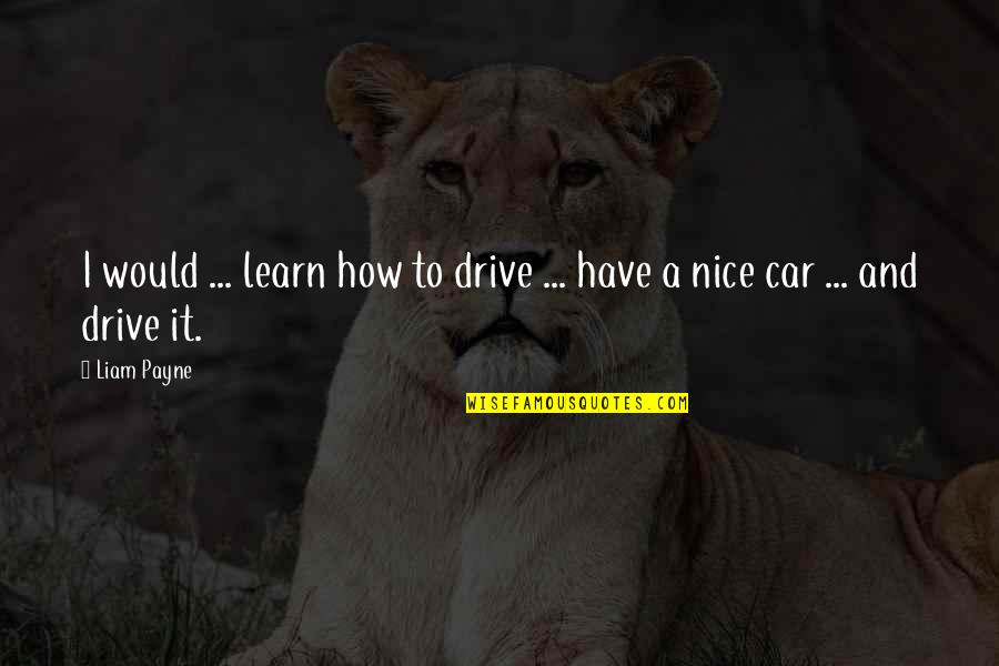 Best Liam Payne Quotes By Liam Payne: I would ... learn how to drive ...
