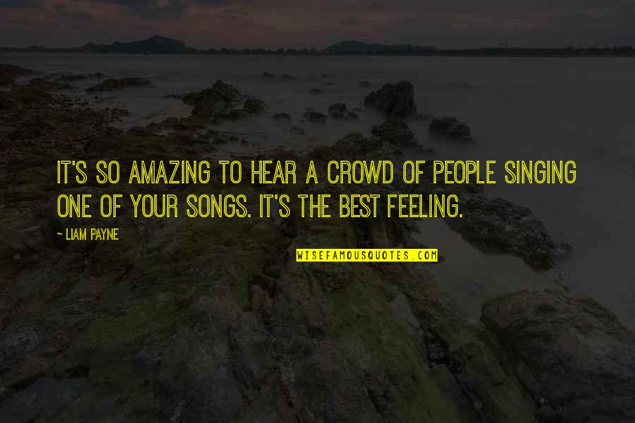 Best Liam Payne Quotes By Liam Payne: It's so amazing to hear a crowd of Best Liam Payne Quotes By Liam Payne: It's so amazing to hear a crowd of