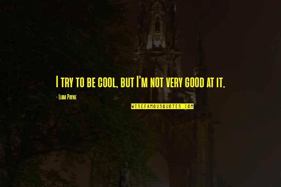 Best Liam Payne Quotes By Liam Payne: I try to be cool, but I'm not Best Liam Payne Quotes By Liam Payne: I try to be cool, but I'm not