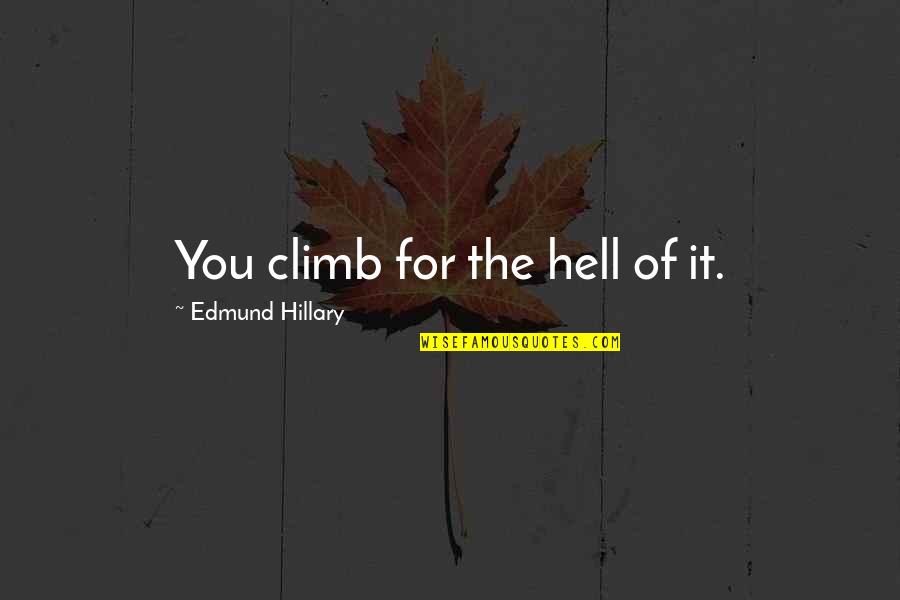 Best License Plate Quotes By Edmund Hillary: You climb for the hell of it.