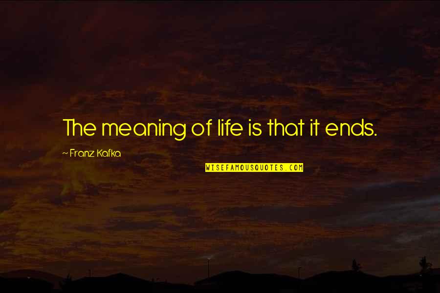 Best Life Meaning Quotes By Franz Kafka: The meaning of life is that it ends.