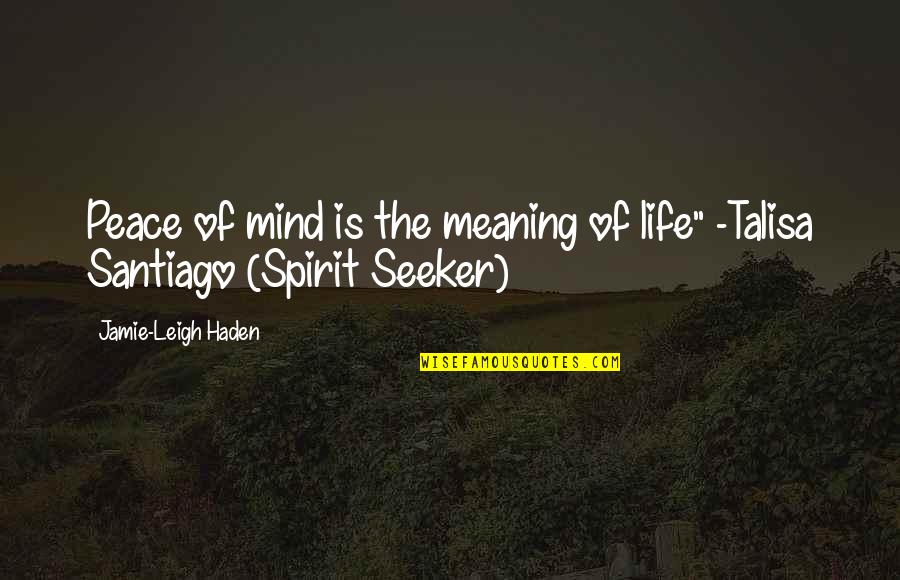 Best Life Meaning Quotes By Jamie-Leigh Haden: Peace of mind is the meaning of life"