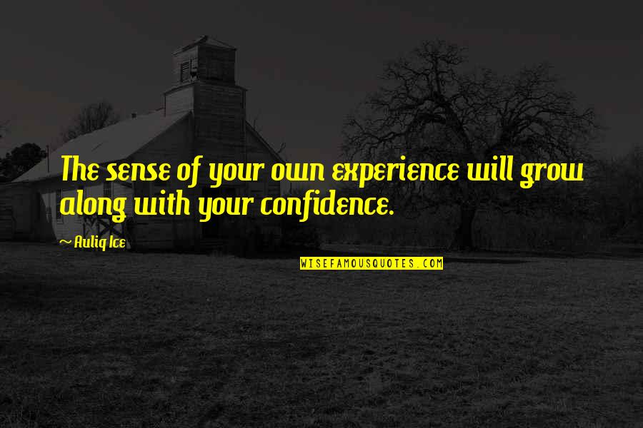 Best Life Realization Quotes By Auliq Ice: The sense of your own experience will grow