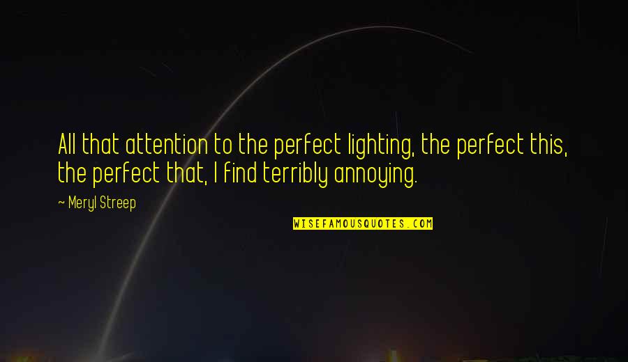Best Lighting Quotes By Meryl Streep: All that attention to the perfect lighting, the