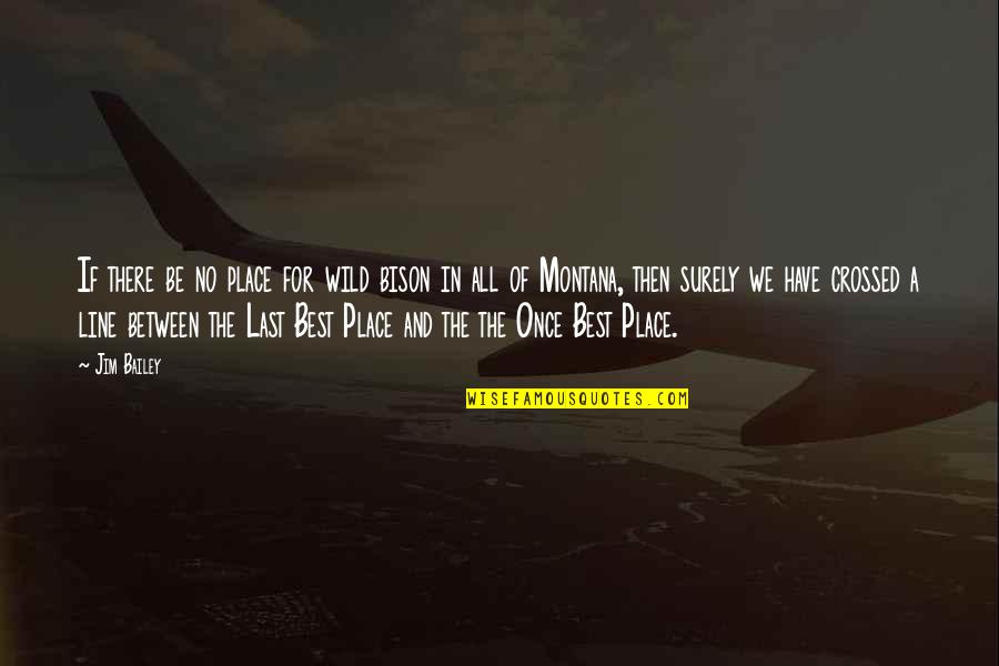 Best Line For Quotes By Jim Bailey: If there be no place for wild bison