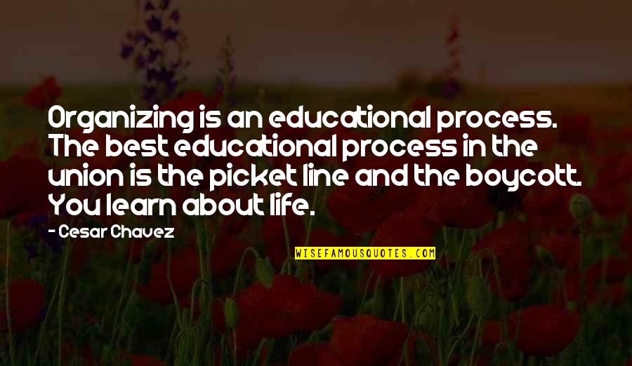 Best Lines Quotes By Cesar Chavez: Organizing is an educational process. The best educational