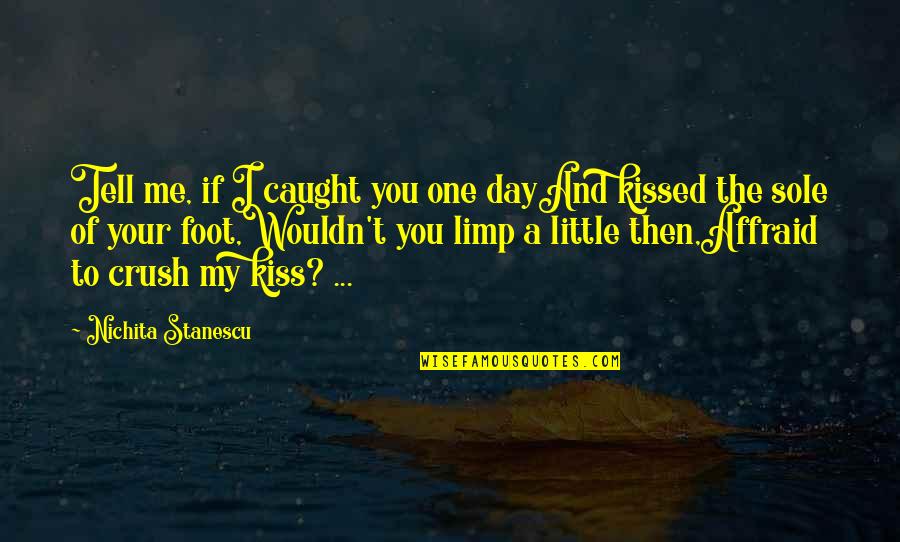Best Little Foot Quotes By Nichita Stanescu: Tell me, if I caught you one dayAnd