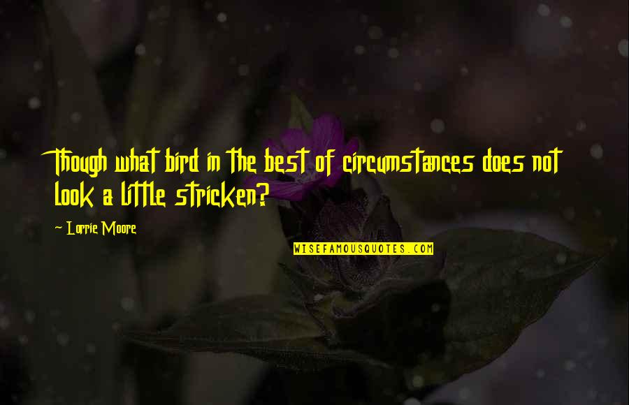 Best Little Quotes By Lorrie Moore: Though what bird in the best of circumstances