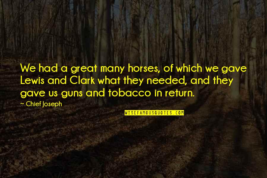Best Lord Finesse Quotes By Chief Joseph: We had a great many horses, of which