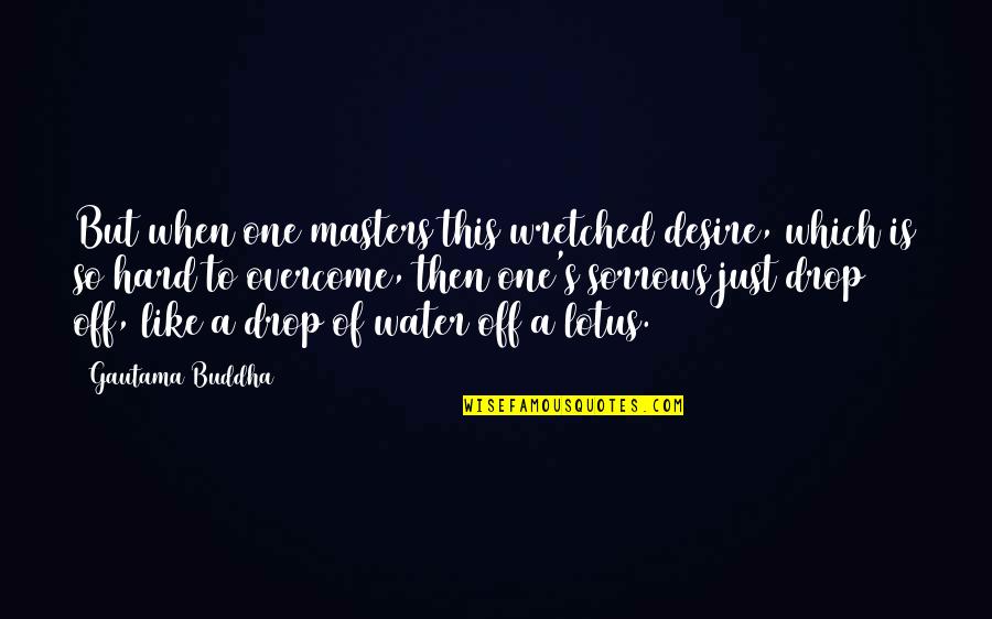 Best Lotus Quotes By Gautama Buddha: But when one masters this wretched desire, which Best Lotus Quotes By Gautama Buddha: But when one masters this wretched desire, which
