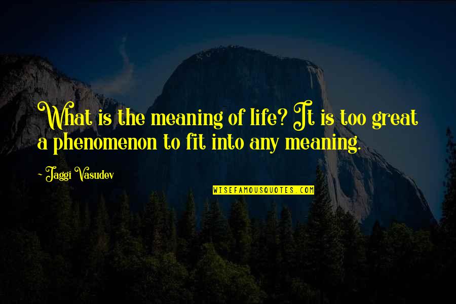 Best Love Meaning Quotes By Jaggi Vasudev: What is the meaning of life? It is