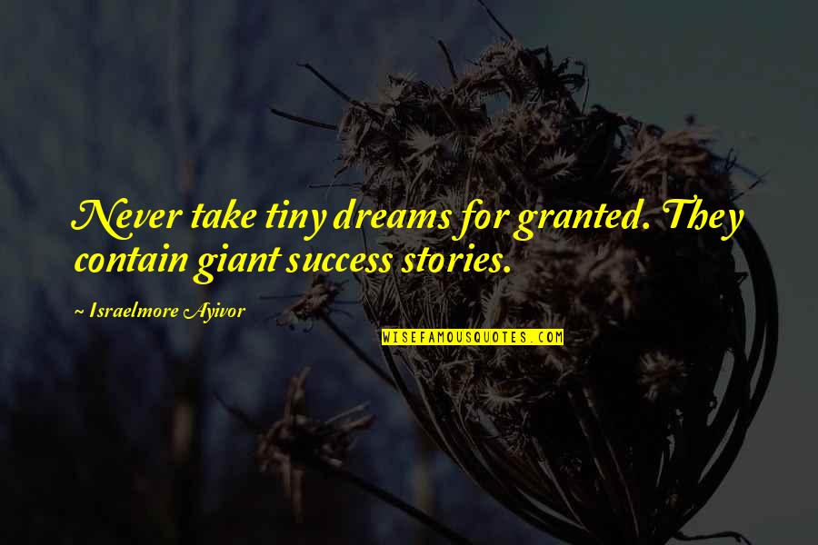 Best Lovely Good Night Quotes By Israelmore Ayivor: Never take tiny dreams for granted. They contain