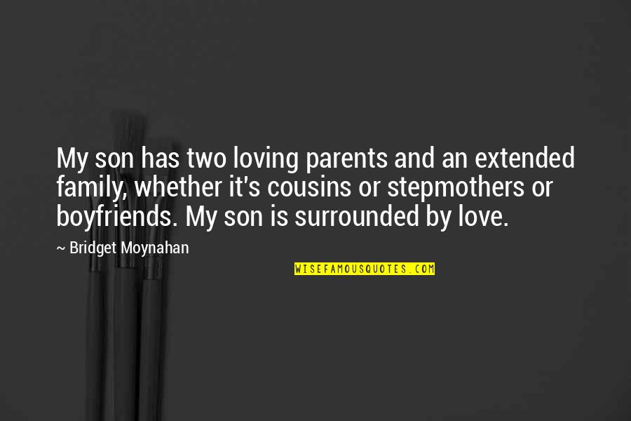 Best Loving Family Quotes By Bridget Moynahan: My son has two loving parents and an