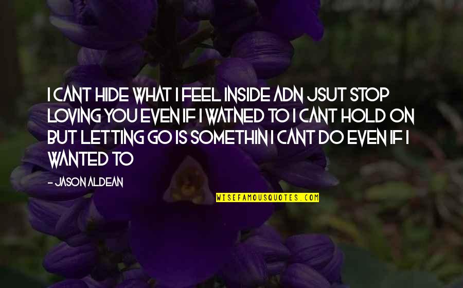 Best Lyrics Quotes By Jason Aldean: I cant hide what i feel inside adn