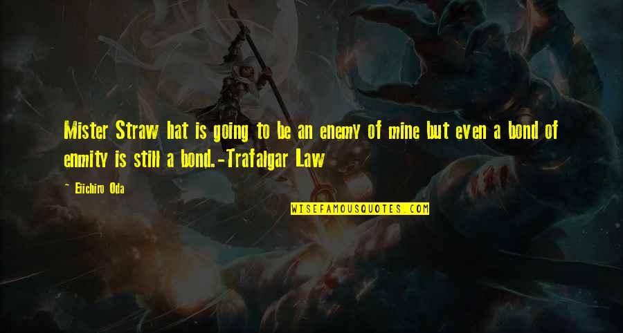 Best Mamma Mia Quotes By Eiichiro Oda: Mister Straw hat is going to be an Best Mamma Mia Quotes By Eiichiro Oda: Mister Straw hat is going to be an