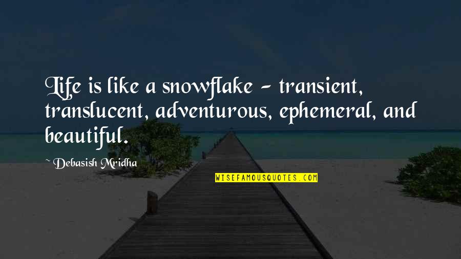 Best Management Team Quotes By Debasish Mridha: Life is like a snowflake - transient, translucent, Best Management Team Quotes By Debasish Mridha: Life is like a snowflake - transient, translucent,