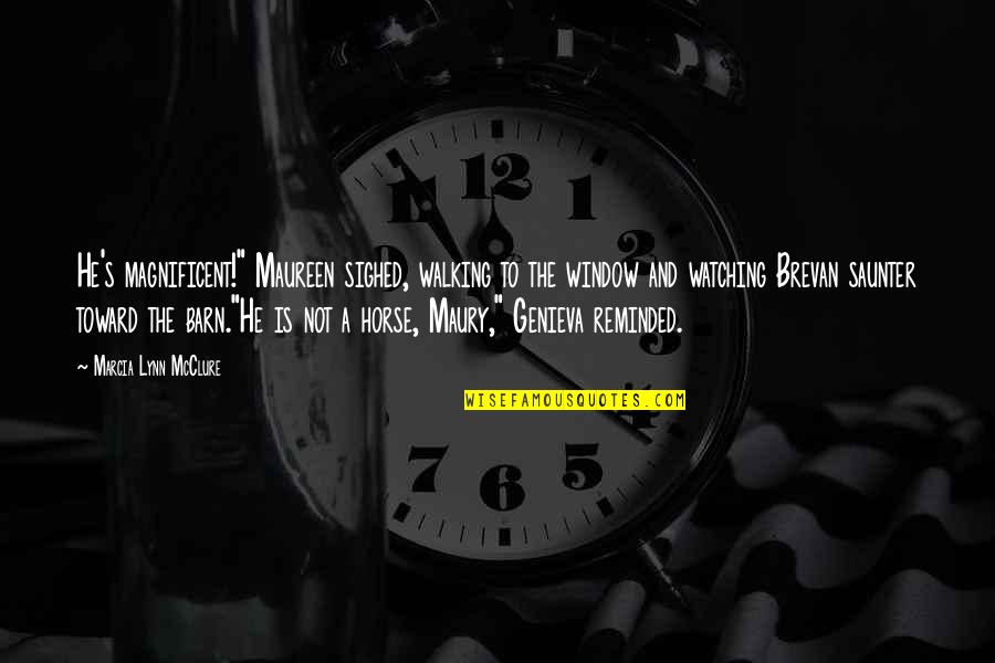 Best Maury Quotes By Marcia Lynn McClure: He's magnificent!" Maureen sighed, walking to the window