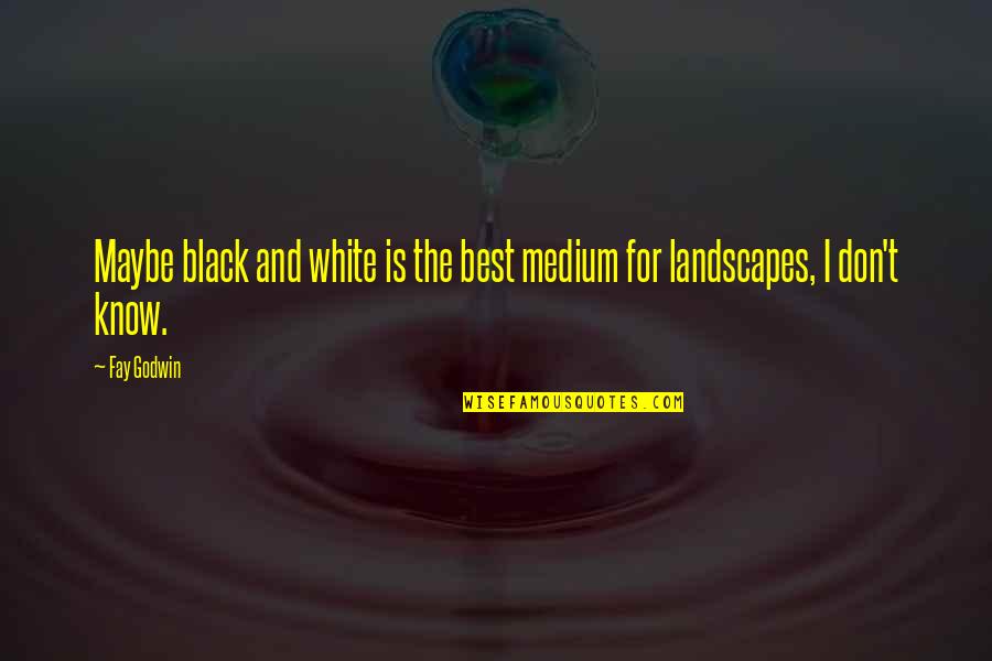 Best Maybe Quotes By Fay Godwin: Maybe black and white is the best medium