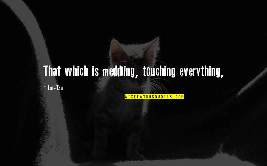 Best Meddling Quotes By Lao-Tzu: That which is meddling, touching everything,