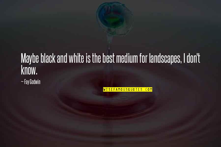 Best Medium Quotes By Fay Godwin: Maybe black and white is the best medium