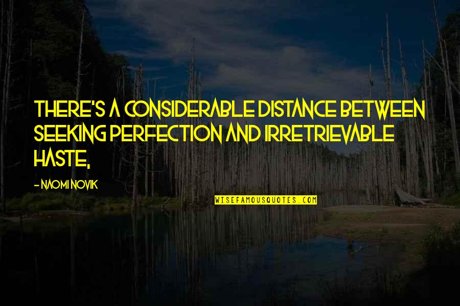 Best Meek Mill Song Quotes By Naomi Novik: There's a considerable distance between seeking perfection and