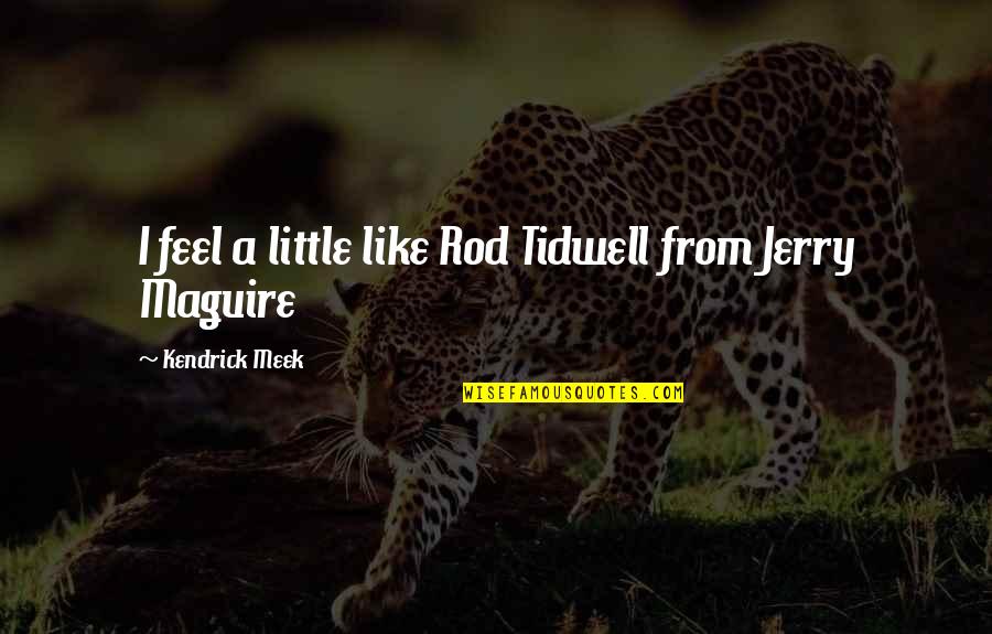 Best Meek Quotes By Kendrick Meek: I feel a little like Rod Tidwell from