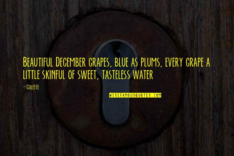 Best Memes Quotes By Colette: Beautiful December grapes, blue as plums, every grape