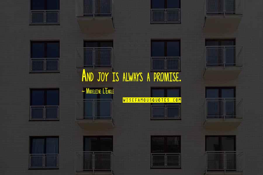Best Mickey Milkovich Quotes By Madeleine L'Engle: And joy is always a promise.
