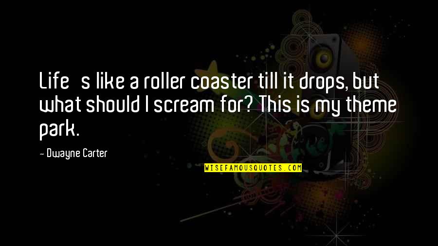 Best Mini Me Quotes By Dwayne Carter: Life's like a roller coaster till it drops, Best Mini Me Quotes By Dwayne Carter: Life's like a roller coaster till it drops,