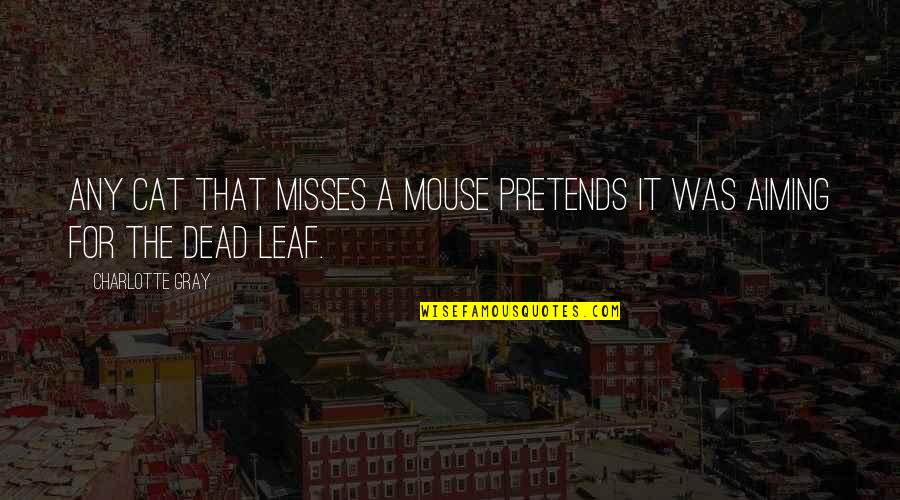 Best Misses Quotes By Charlotte Gray: Any cat that misses a mouse pretends it