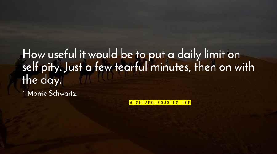 Best Mitch Albom Quotes By Morrie Schwartz.: How useful it would be to put a Best Mitch Albom Quotes By Morrie Schwartz.: How useful it would be to put a