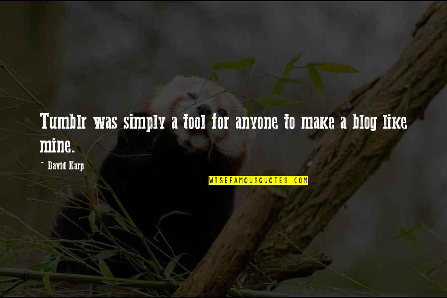 Best Mock Trial Quotes By David Karp: Tumblr was simply a tool for anyone to