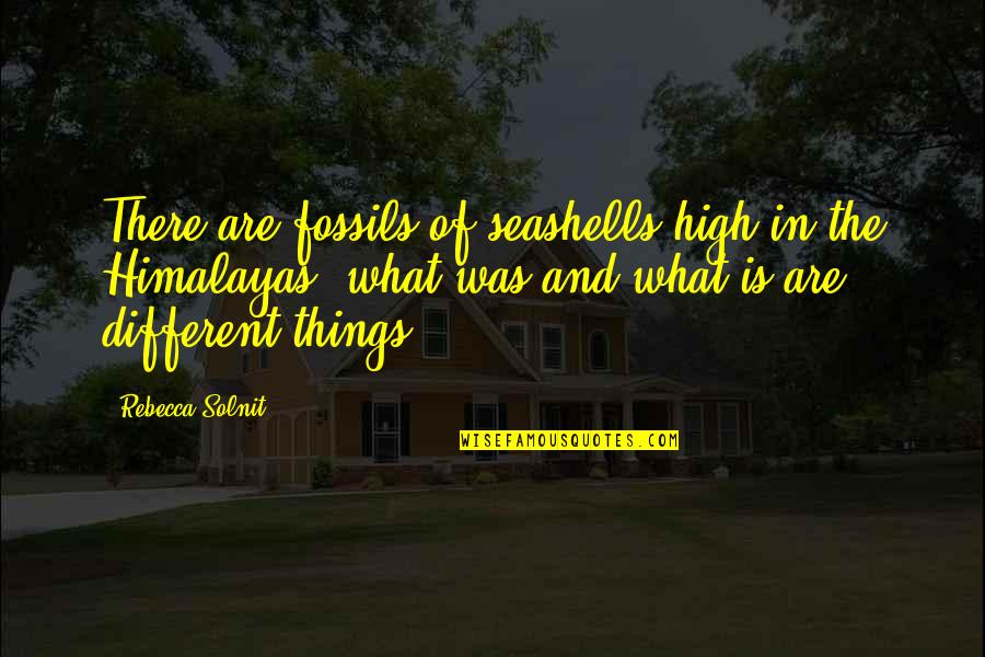 Best Mollymauk Quotes By Rebecca Solnit: There are fossils of seashells high in the