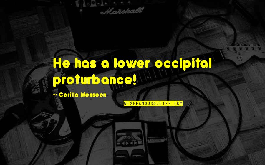 Best Monsoon Quotes By Gorilla Monsoon: He has a lower occipital proturbance!
