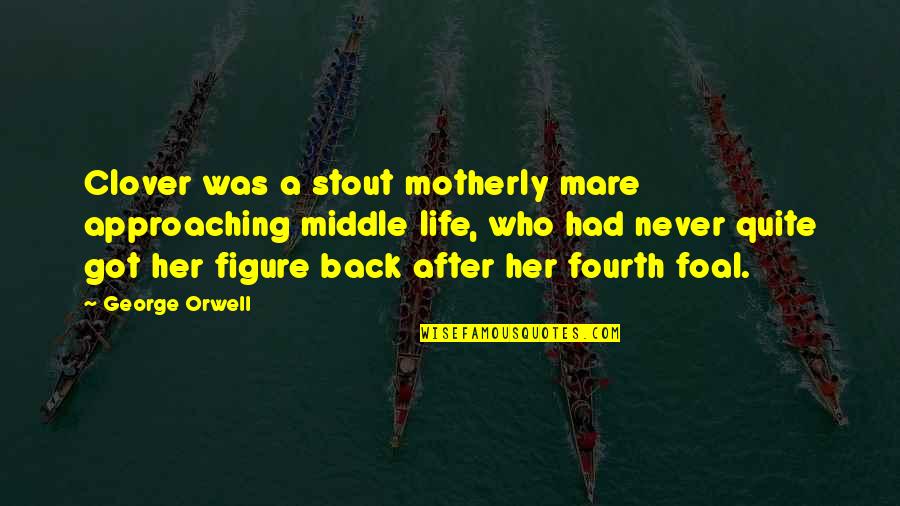 Best Motherly Quotes By George Orwell: Clover was a stout motherly mare approaching middle