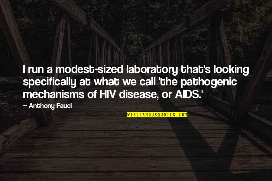 Best Muay Thai Quotes By Anthony Fauci: I run a modest-sized laboratory that's looking specifically Best Muay Thai Quotes By Anthony Fauci: I run a modest-sized laboratory that's looking specifically