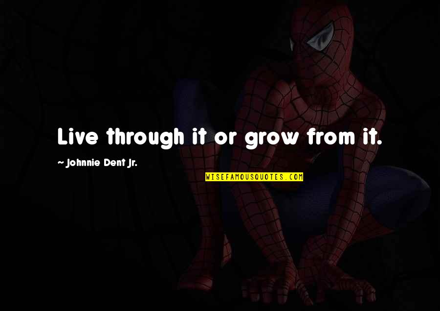 Best Mushy Quotes By Johnnie Dent Jr.: Live through it or grow from it.
