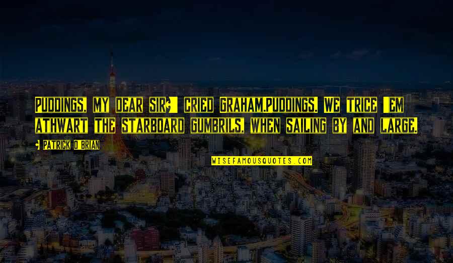 Best Nautical Quotes By Patrick O'Brian: Puddings, my dear sir?' cried Graham.Puddings. We trice