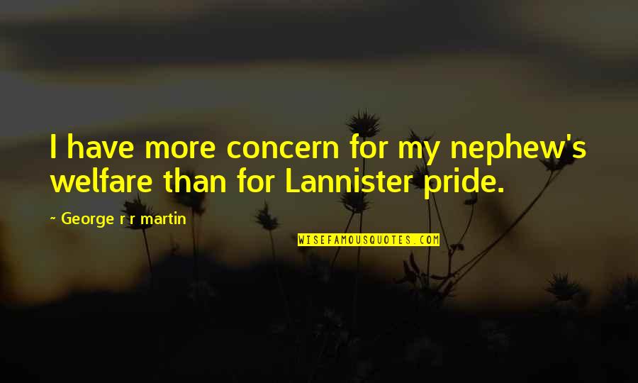 Best Nephew Quotes By George R R Martin: I have more concern for my nephew's welfare